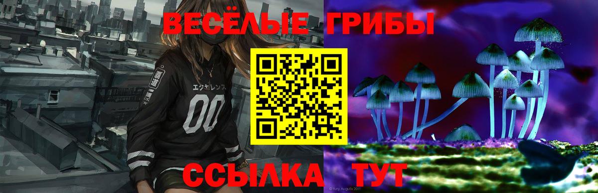 Галлюциногенные грибы ЛСД Гусиноозёрск
